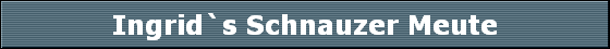 Ingrid`s Schnauzer Meute