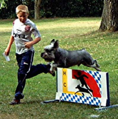 4 (2) Kleine Webansicht