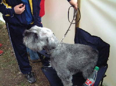 ATM (28) Kleine Webansicht