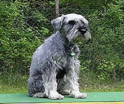 db_16_05_2004_032_jpg1