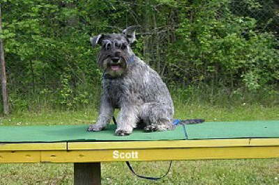 db_16_05_2004_043_jpg1