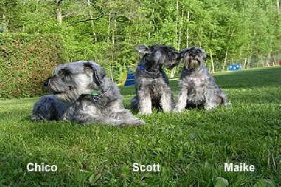 db_16_05_2004_068_jpg1